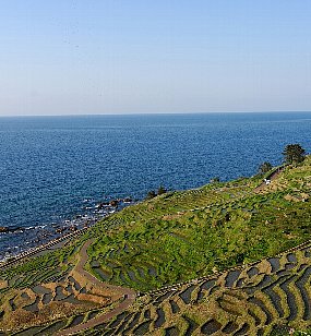 湯けむり観劇プラン