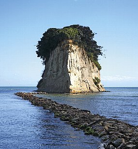 湯けむり観劇プラン