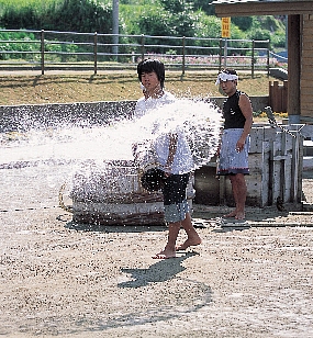 湯けむり観劇プラン