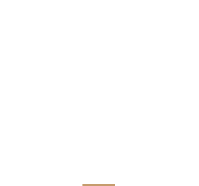 公式限定おすすめプラン